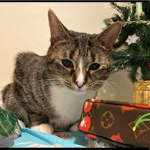 Meet your Posher, Olivia